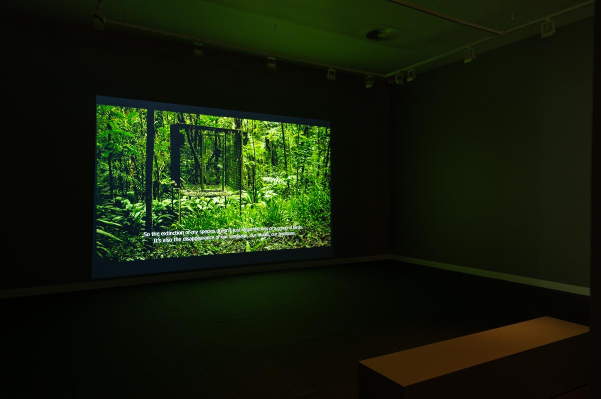 Installation view: 'Strange Kinship'. Photograph: Natasha Harth