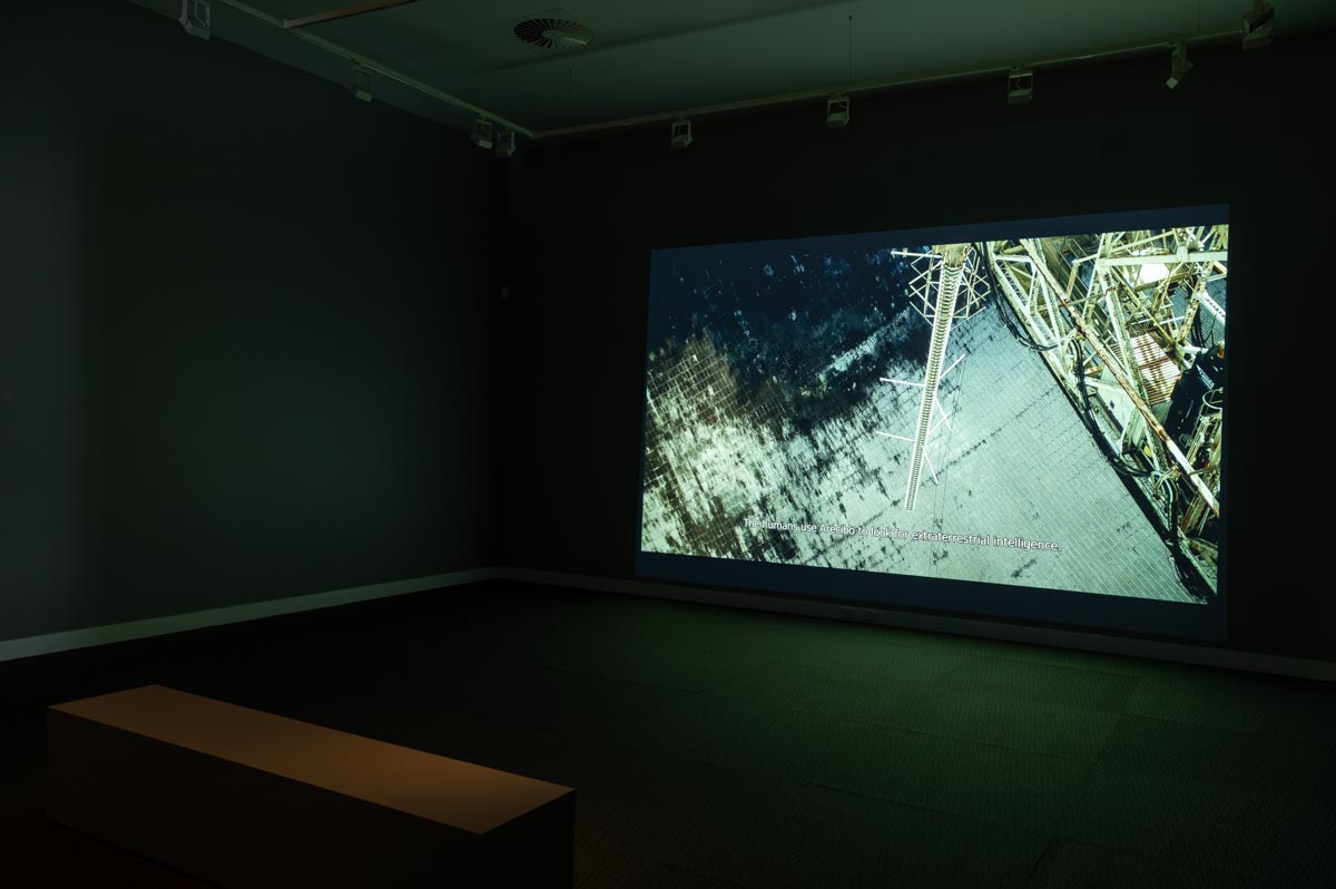 Installation view: 'Strange Kinship'. Photograph: Natasha Harth