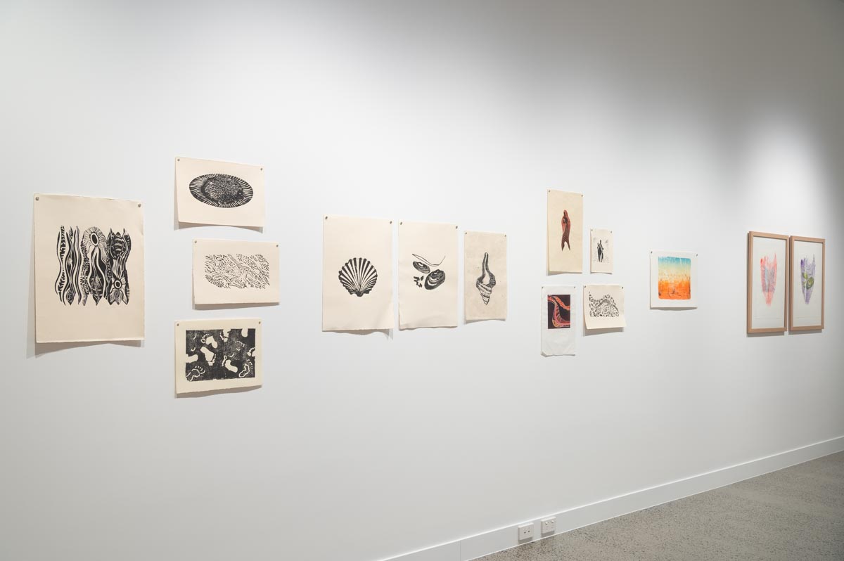 Installation view: Joyce Watson ‘Family and Country, many people’s stories’. Photograph: Natasha Harth