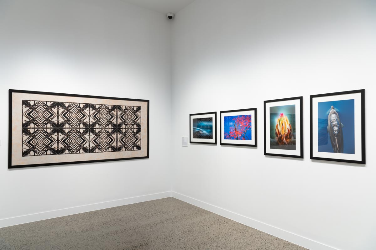 Installation view: Regional Spotlight 2024. Photograph: Natasha Harth