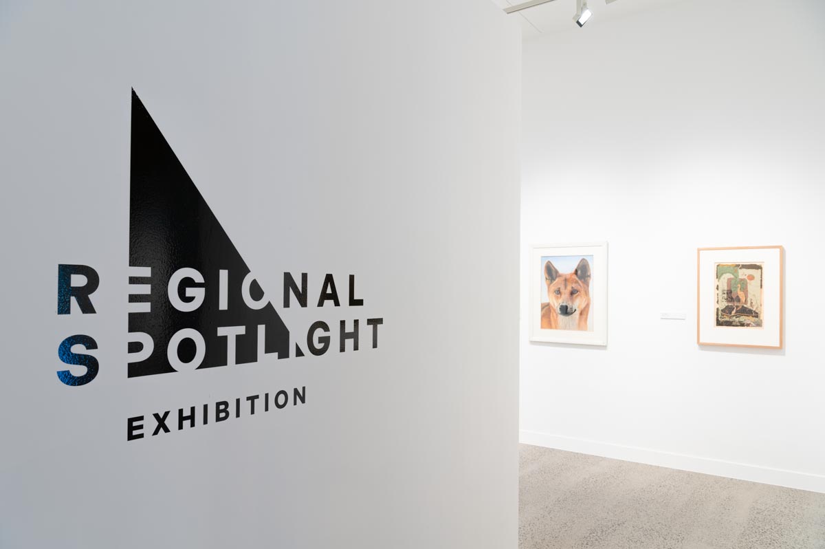 Installation view: Regional Spotlight 2024. Photograph: Natasha Harth