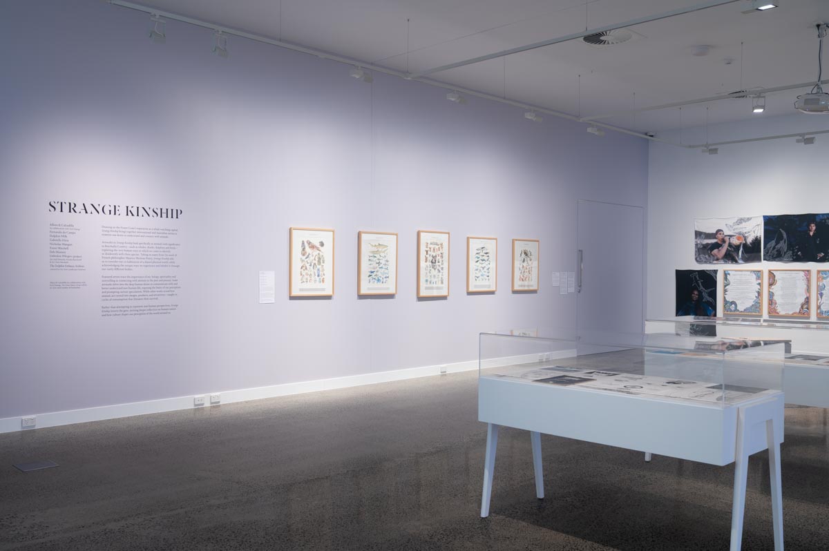 Installation view: 'Strange Kinship'. Photograph: Natasha Harth