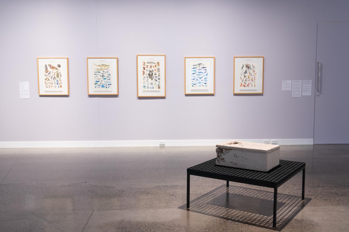 Installation view: 'Strange Kinship'. Photograph: Natasha Harth