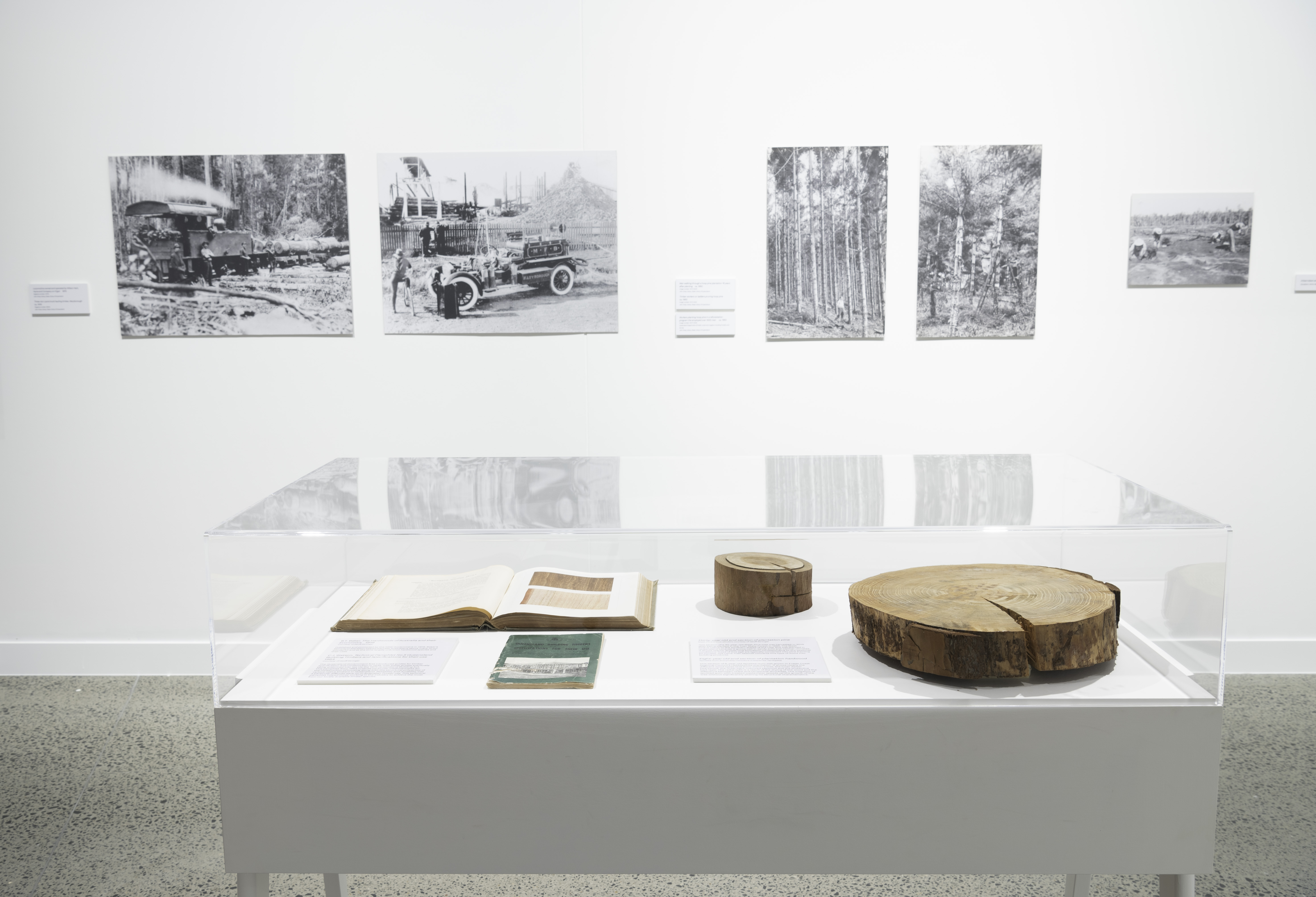 Installation view: Forest to Fibre. Photograph: Natasha Harth