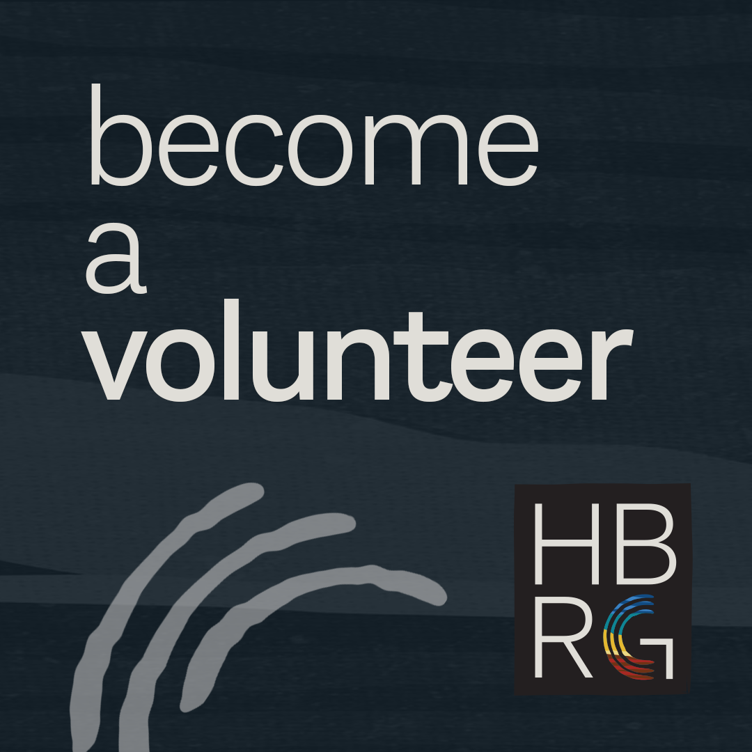 Become a volunteer at Hervey Bay Regional Gallery